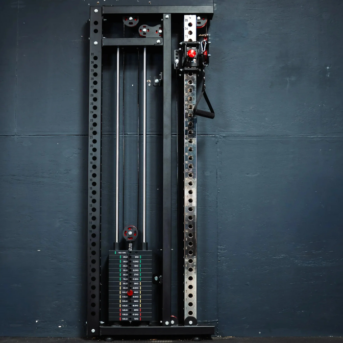 Slim Gym Wall Mounted Functional Trainer
