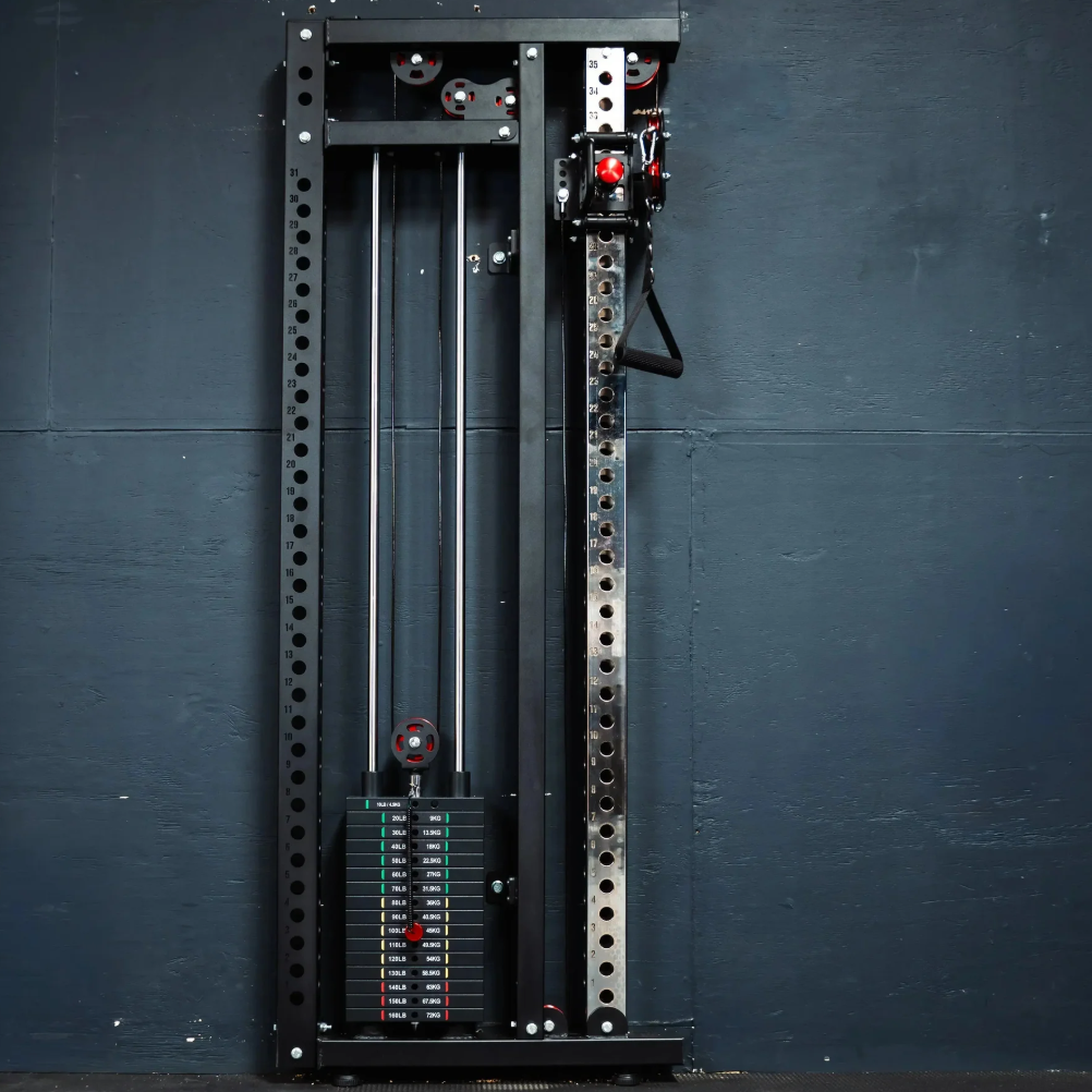 Fringe Sport Slim Gym Wall Mounted Functional Trainer