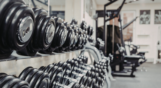 Strength Equipment