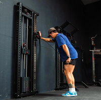 Fringe Sport Slim Gym Wall Mounted Functional Trainer
