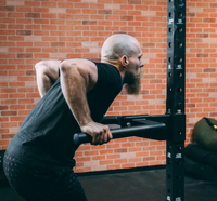 Fringe Sport 3x3 Dip Station