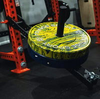 Fringe Sport Mammoth Belt Squat (With Free Belt) + Kickstand